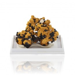 romanechite-goethit-zbierkovy-mineral-27-82g-01