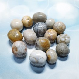 skamenely-koral-balicek-tromlovanych-kamenov-80g-02