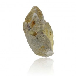 sklenny-opal-dubnik-zbierkovy-mineral-0-550-kg-11