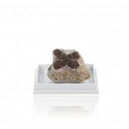 staurolit-zbierkovy-mineral-8-32g-01