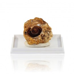 vivianit-zbierkovy-mineral-16-32g-02