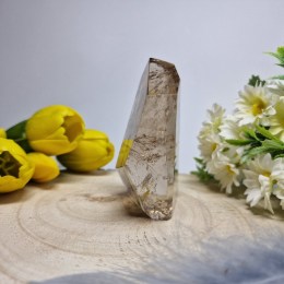 zahneda-freeform-191g-02