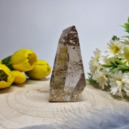 zahneda-freeform-191g-04